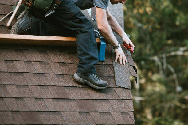 Best Wood Shake Roofing  in Braidwood, IL